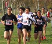 Cross-Country  Results 