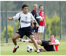 Del Bosque Arayışta