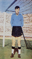 NECMİ MUTLU 