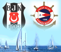 Kartal denize iniyor