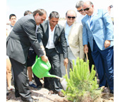 Beşiktaş’s Memorial Forest in İzmir City 