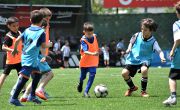 Beşiktaş Futbol Akademi Birinci Etap Seçmeleri Yapıldı