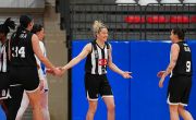 Dardanel Çanakkale Belediyespor:61 Beşiktaş BOA:107 
