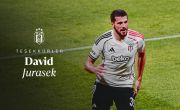 Thank You David! 