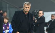 Manager Şenol Güneş Reaction 