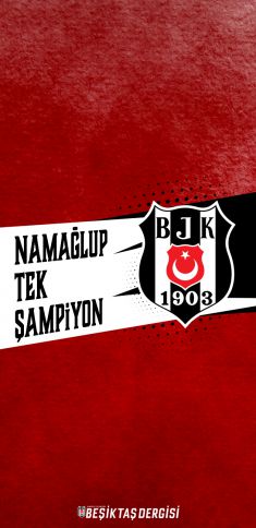 Duvar Kağıdı 17
