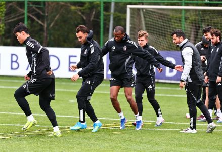 Eagles in training 